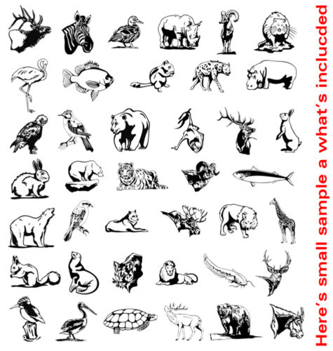 WILDLIFE-ANIMAL CLIPART-VINYL CUTTER PLOTTER IMAGES-VECTOR CLIP ART GRAPHICS CD - Picture 4 of 5