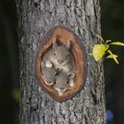 Picture 4 of 4