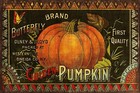 Pumpkin Advert Aged Look Vintage Retro Style Metal Sign Plaque, Gardening