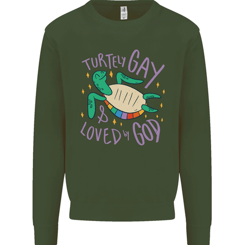 LGBT Turtle Loved By God Gay Pride Kids Sweatshirt Jumper - Picture 8 of 97