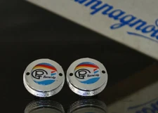 Pinarello Banesto Team crankset dust caps fit Campagnolo record shimano gipiemme
