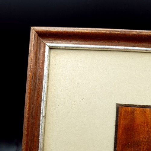 David Owen Marquetry Picture Shaggy Ink Cap & Birds Foot Limited Ed 1/5 Signed - Picture 17 of 22