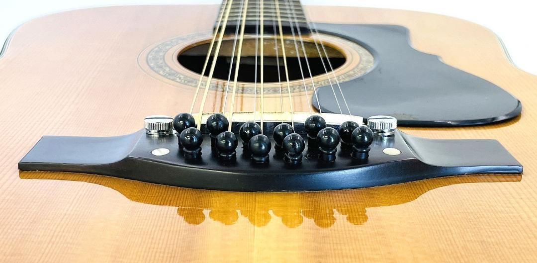 Ventura Rose 12-String Acoustic Guitar Vintage Rare From