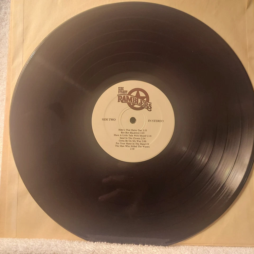 Side Street Ramblers/Self Titled/1982/Vinyl, LP, Album/FAST,FREE SHIPPING/EX/VG Foto 4 de 4