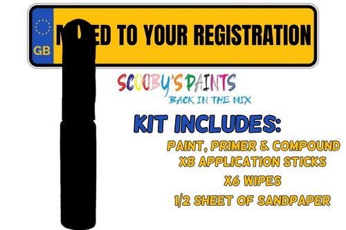 Car Colour Mixed by Registration Paint Spray Touch Up Kit Scratch Any Make - Picture 39 of 98
