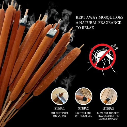 5pcs 25pcs Artificial Dried Floral Stems Flowers Natural Cattails Real Broadleaf - Picture 5 of 7