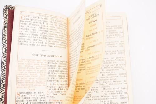 Breviarium Romanum Pars Autumnalis in Latin - Leather, c. Early 1900s, Antique - Picture 10 of 24