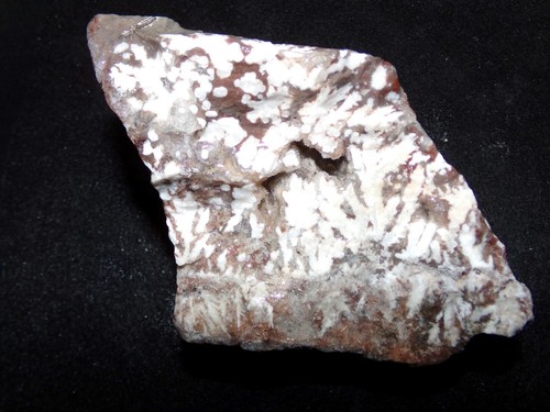 WEBERockin: Snow Plume Agate Rough Chunk 1 Pound 8 Ounces, Chihuahua Mexico - Picture 4 of 12