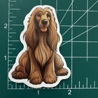 Afghan Hound Dog Puppy Tan Decal Sticker 2โ x 2 5/8โ
