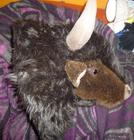 Bild 5 von 9