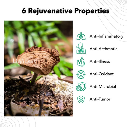 Lignosus Orgánico Leche de Tigre Champiñones Bolsitas Desintoxicación Pulmón Limpieza Caja de 30 Bolsitas - Imagen 4 de 18
