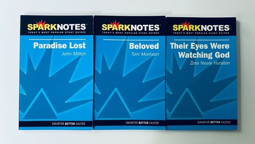 Spark Notes Study Guides - Pick What You Need - Joyce, Dickens, Homer, Wiesel - Picture 24 of 31