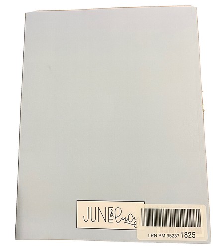 The Ultimate Guide to Modern Calligraphy & Hand Lettering for Beginners W/Bonus! - Picture 2 of 4