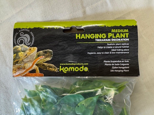 Komodo Philodendron Medium Hanging Plant Terrarium Decoration - Picture 3 of 4