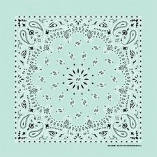 Carolina Creative Bandanna (Mint Green) Paisley Print 22" x 22" Hav-A-Hank