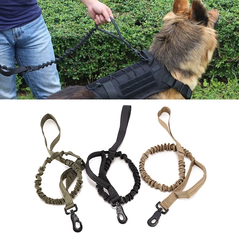 Dog leashes for large dogs 2025