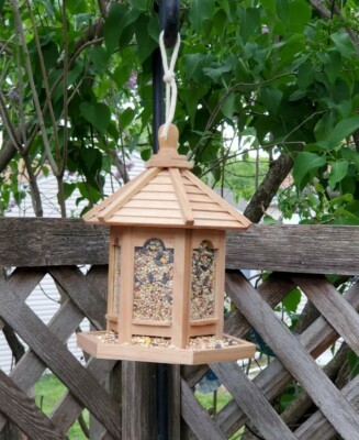 color&treat hanging gazebo seeder garden Bird Feeder hand stained w/ cinnamon color&treat hanging gazebo seeder garden Bird Feeder hand stained w/ cinnamon