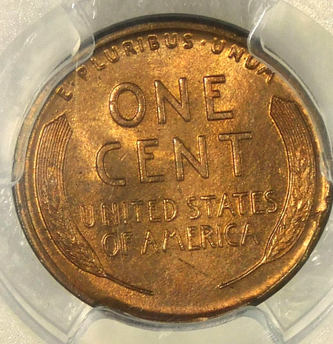 1917-D Lincoln Cent PCGS MS65RB CAC Lots of Red Luster Premium Quality #C287 - Picture 4 of 4