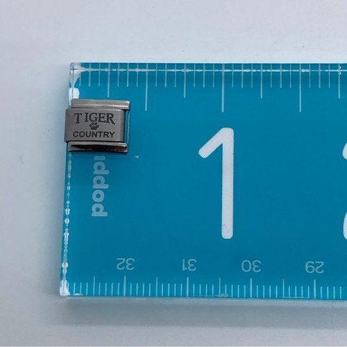 “Tiger Country” Uberry Italian Charm for Bracelet Silver Tone Sports eBay