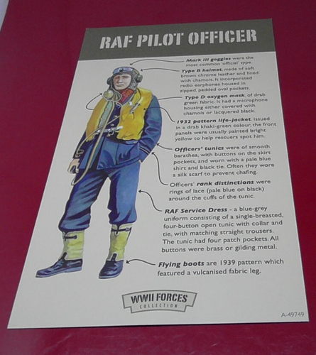 Medal Medallion WW2 WWII Forces War Commemorative RAF Royal Air Force Pilot Crew - Picture 12 of 12