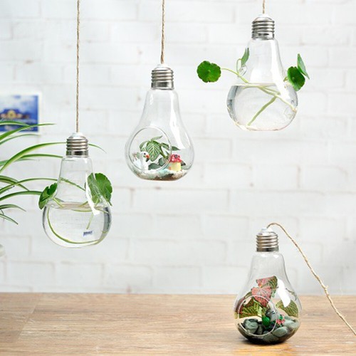 Hanging Glass Globe Wall Hanging Planters Clear Glass Planter