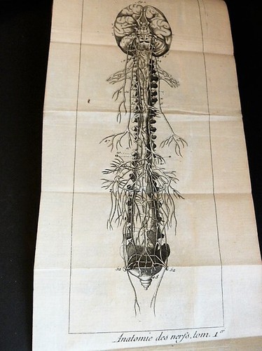 Whytt Monro Vapors Nervous Diseases 2 Volumes Medicine Neurology Anatomy 1767 - Picture 6 of 11