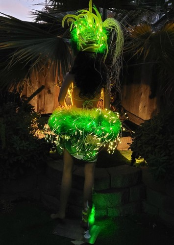 Tahitian Dance Costume - Brand New Tahitian Dance Costume - Green Ombre - Picture 9 of 12