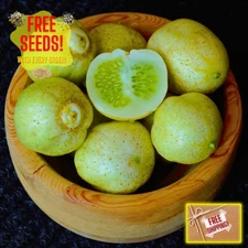 Fresh Sweet Lemon Cucumber Seeds | Rare| Heirloom Non-GMO | Vegetable Seeds