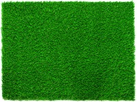 Everlast Turf Diamond Pro Spring Lawn Grass Turf Doormat Everlast Turf Diamond Pro Spring Lawn Grass Turf Doormat