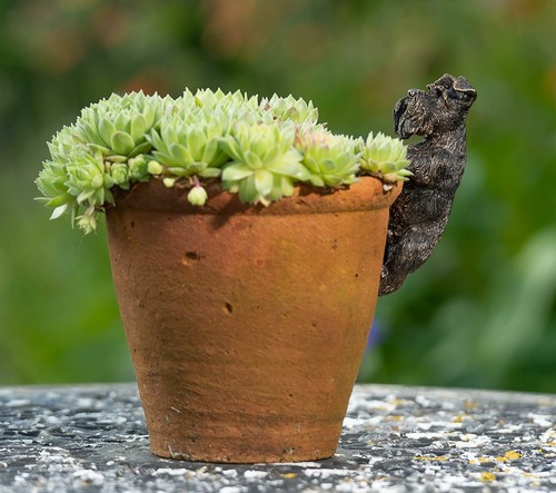 Pot Buddies Deko Schnauzer Topfhänger Ornament - bronzefarben - Bild 4 von 12