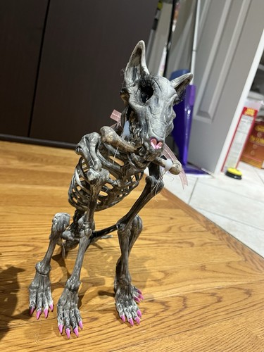 Halloween Dog Couple - Bild 3 von 5