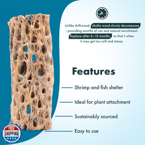 SubstrateSource Natural Cholla Wood - Driftwood per acquari, base per piante aeree - Foto 3 di 5