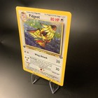 Picture 5 of 19
