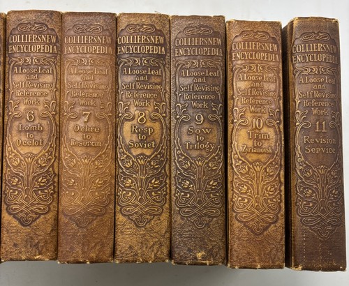 1921 Collier's New Encyclopedia Complete Set 11 Volume With Revision & Manual - Bild 3 von 24