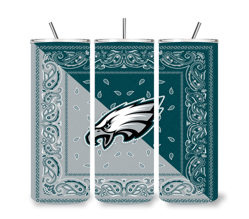 Football Eagle Raven Chief 20 OZ STAINLESS STEEL TUMBLER CUP +LID/STRAW - Picture 8 of 33