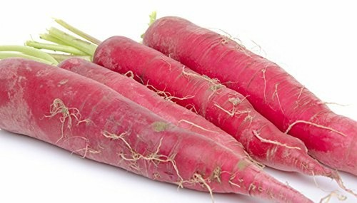 301+RED Arrow RADISH Seeds Organic Mild Sweet Container Vegetable Garden Easy - Picture 6 of 8