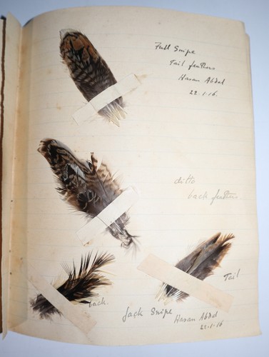 1915 Trout Flies Original Feathers 62 Fly Descriptions Hand Written Gladstone - Picture 24 of 24