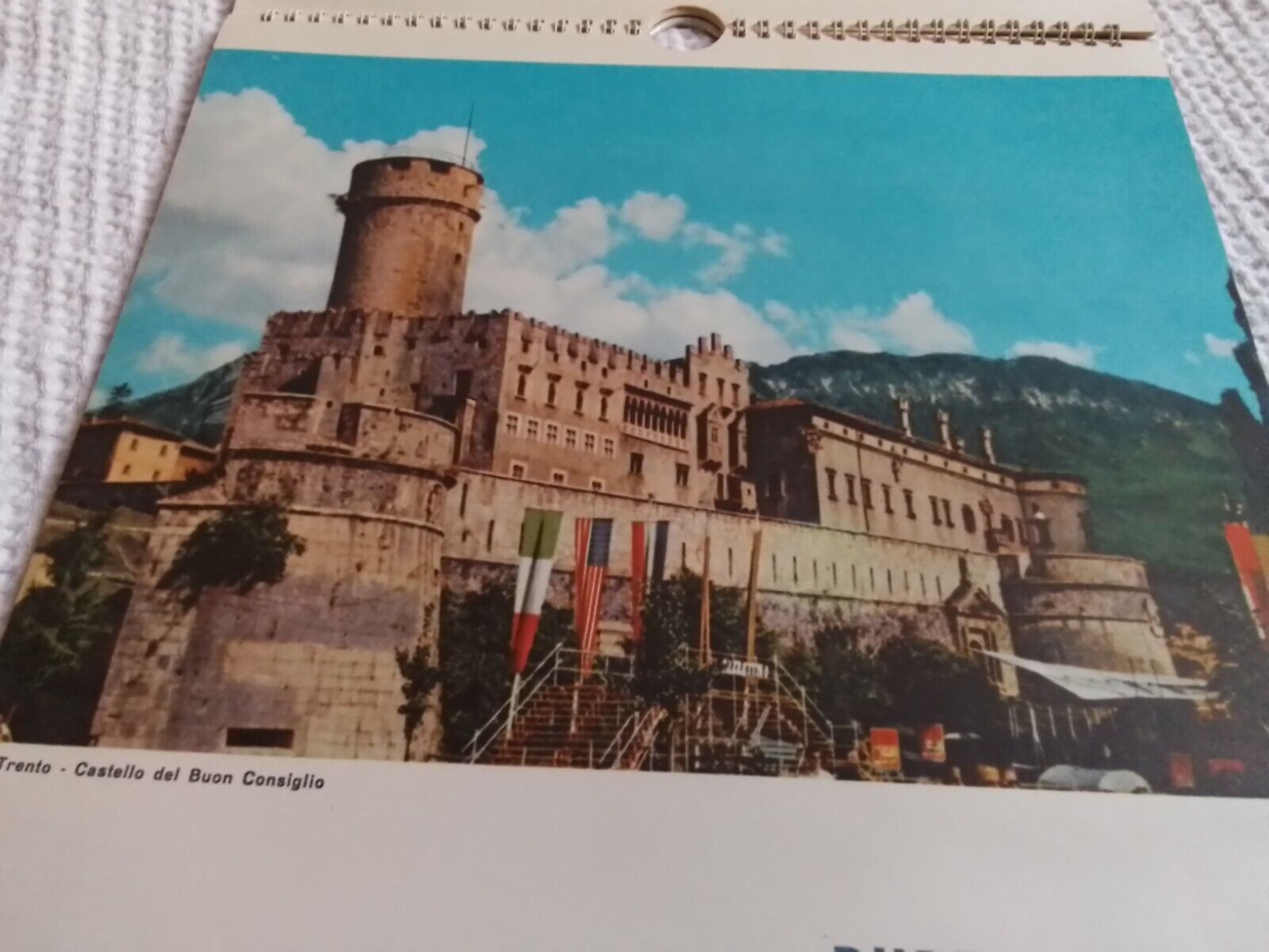 Foto 7 di 12