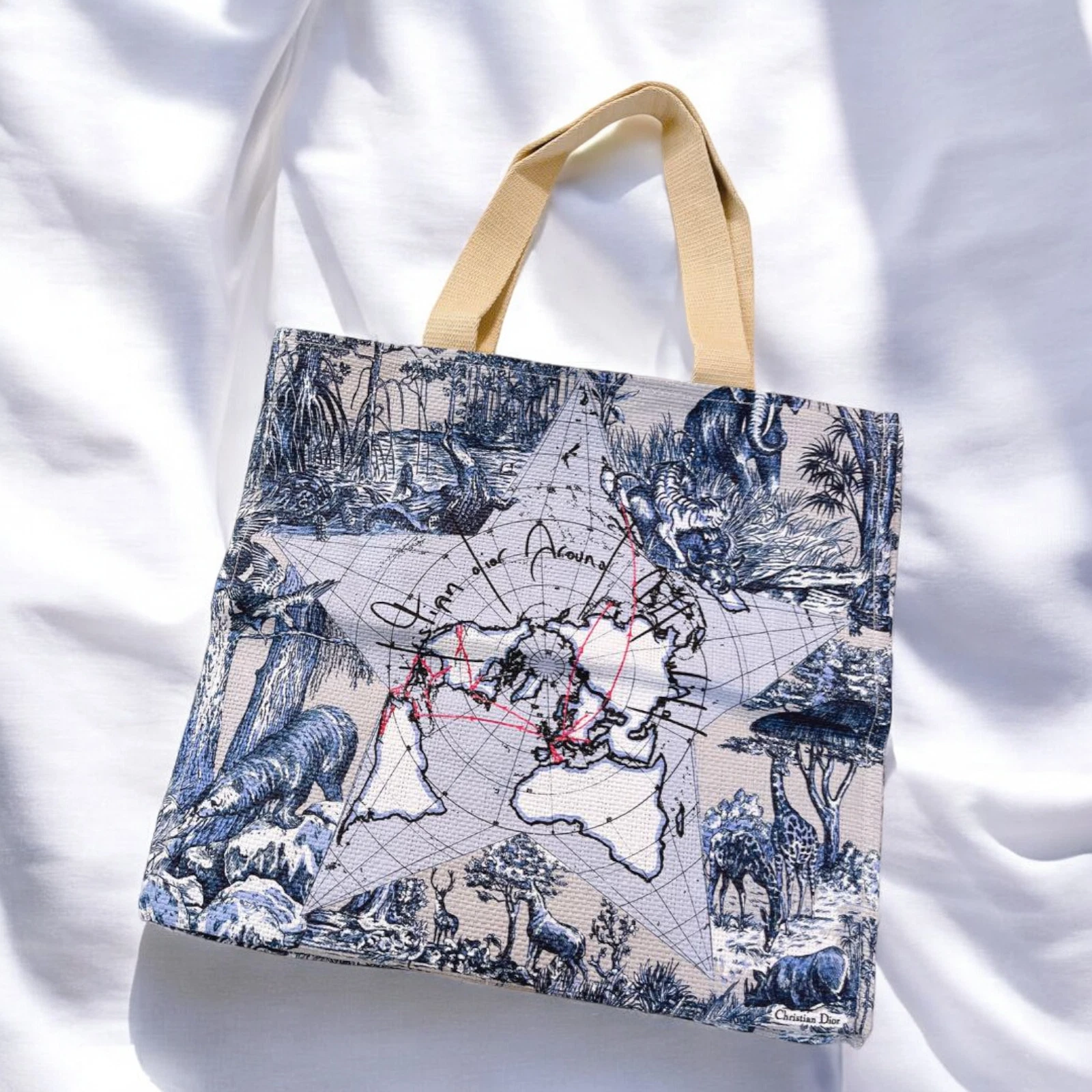 Sac fourre tout Christian Dior 2024 cadeau d'anniversaire pour membre platine
