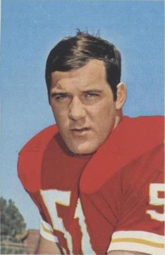 1972 The Wonderful World of Pro Football USA Player Stamps Jim Lynch #173 - 1 of 2