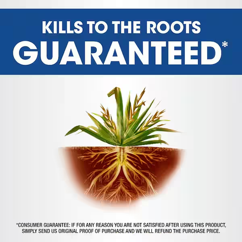 NEW Roundup 24 oz. Ready-to-Use Kills Tough Weeds and Grasses to The Root - Picture 3 of 12