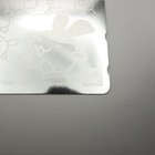Picture 6 of 6