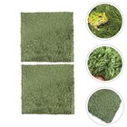 2Pcs Simulated Moss Mats for Tortoise Artificial Grass Lawn (Green)