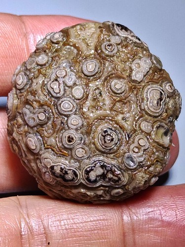 100% Natural Mongolia Gobi Agate Eyes Agate/stone Collection Specimen