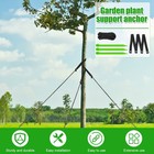 3Pcs Tree Stake Kit Support for Leaning Tree 12inch Young Tree Staking dgDJa