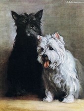 Black & White Scotch Whisky Terrier Dogs NEW Sign: 15x20" USA Steel