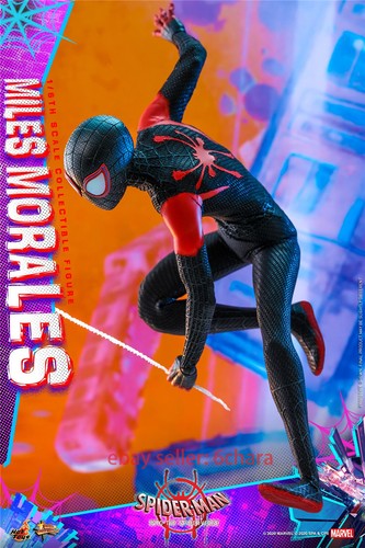 HOTTOYS MMS567 Modellino Spider-Man Parallel Universe Miles Morales 1/6 - Foto 9 di 23