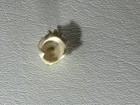 Bild 4 von 4