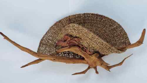 Vtg Mid Century Organic Driftwood Fiber Weave Boho Art Wall Hanging Free US Ship - Picture 2 of 9