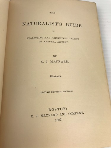 The Naturalist's Guide / C.J. Maynard, 1887 / 2nd Revised Edition / Illustrated - Picture 6 of 6
